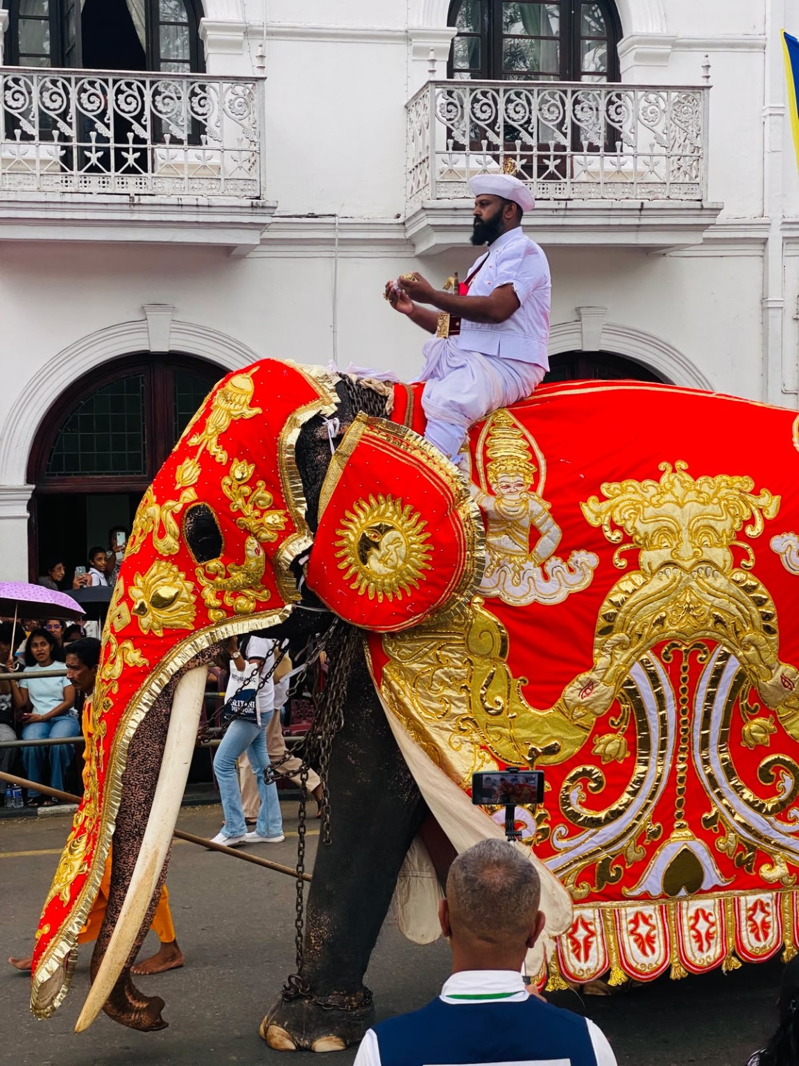 Decorated elephant at Kandy Esala Perahera