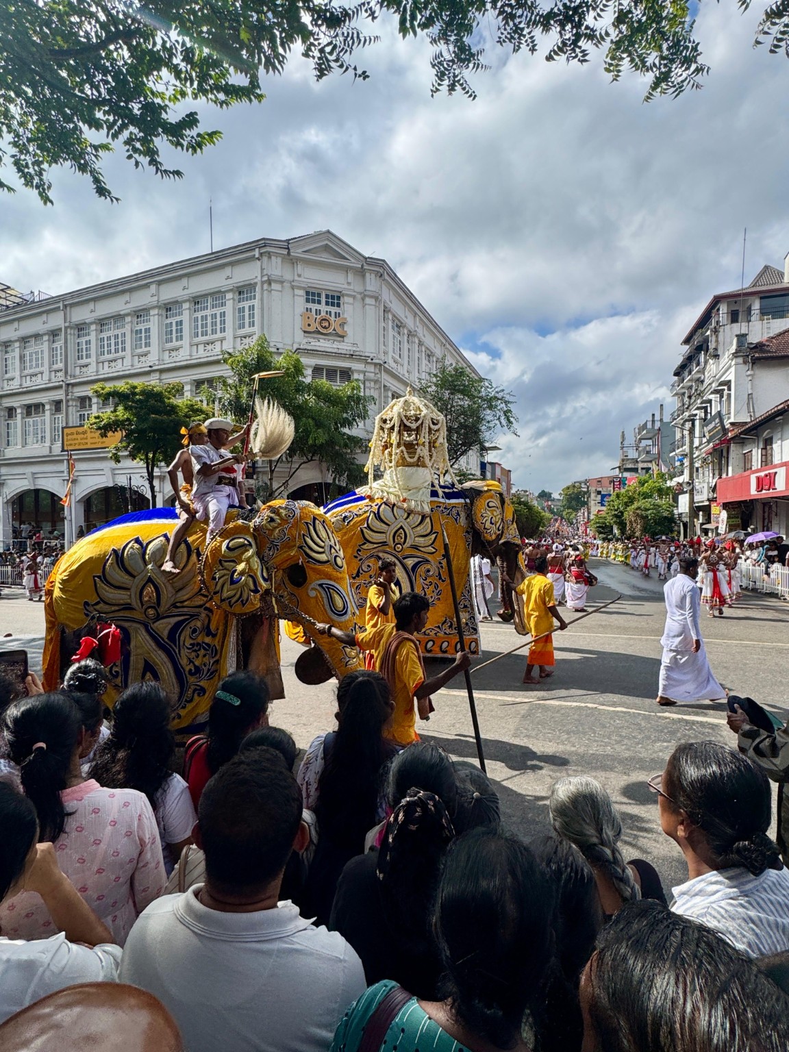 Kandy procession with elephant