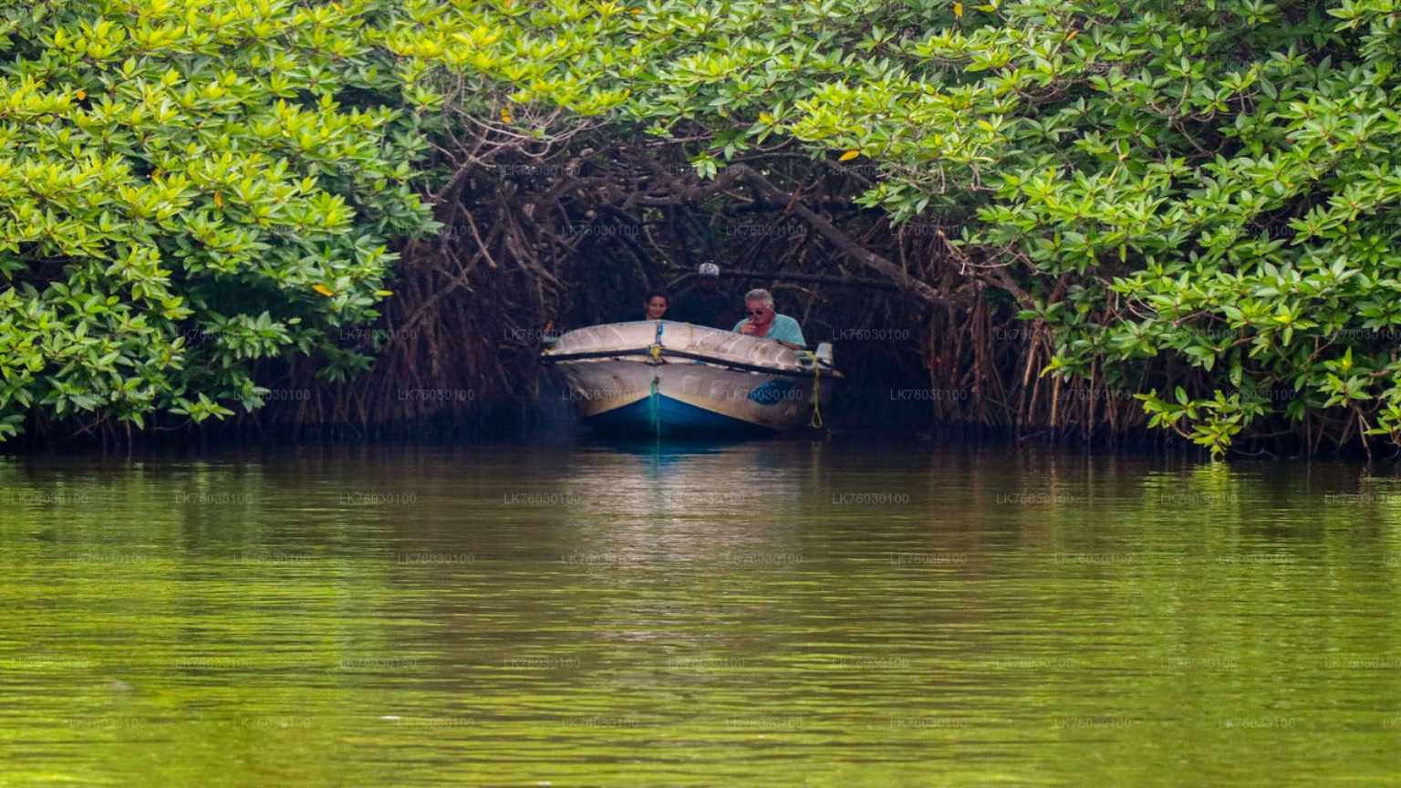Boat travelling through Madu River mangroves