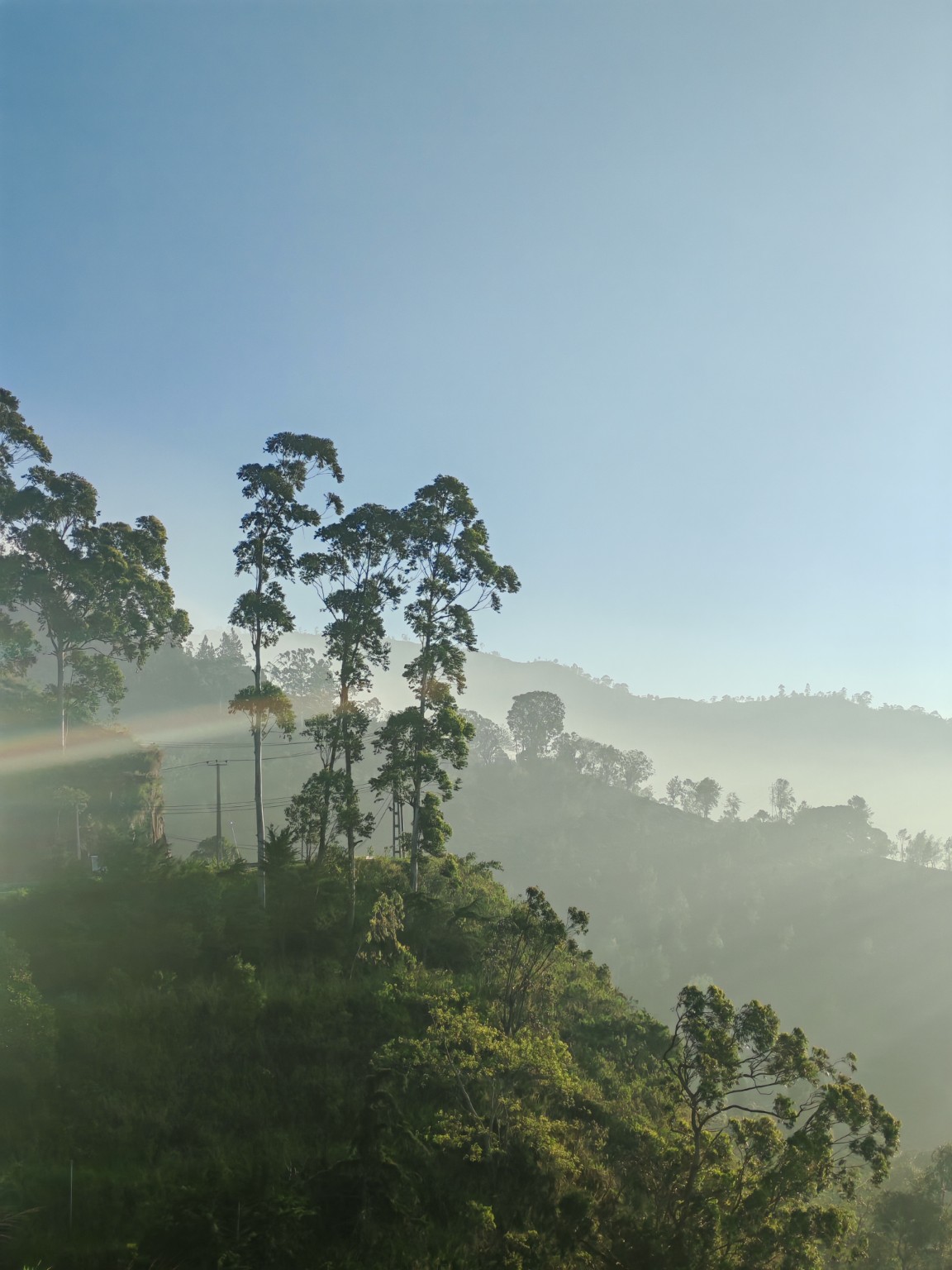 Misty highland landscape around Nuwara Eliya