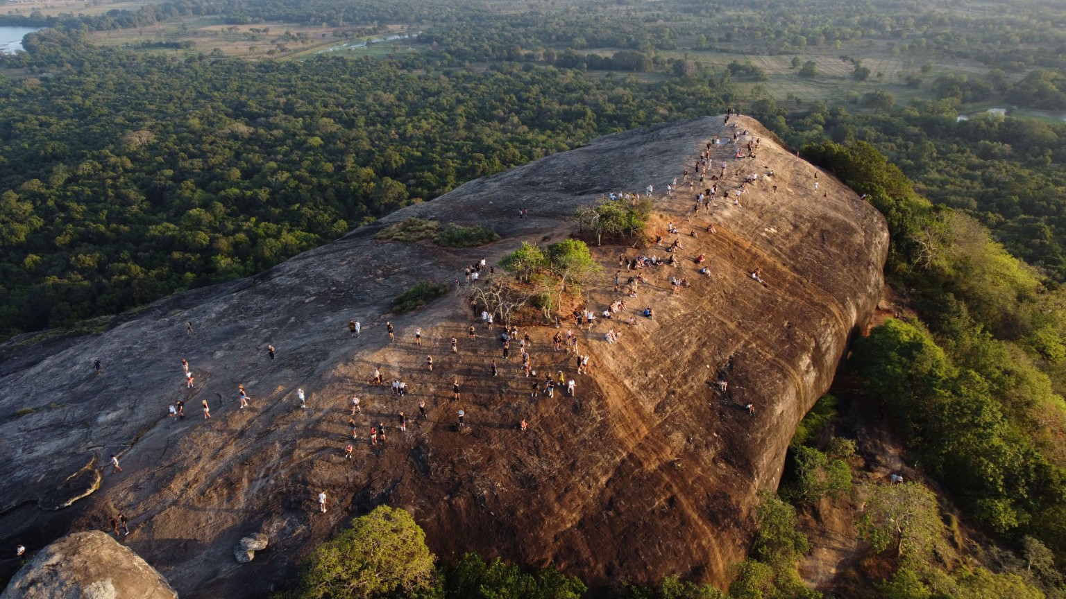Pidurangala Rock landscape
