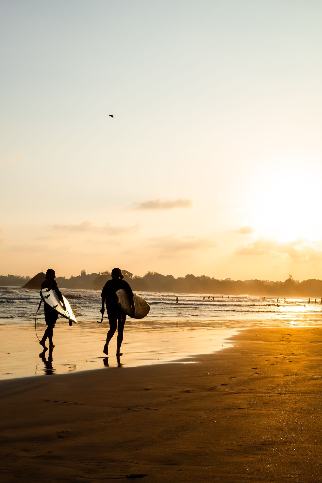 Surfers walking along a Sri Lankan beach at sunrise