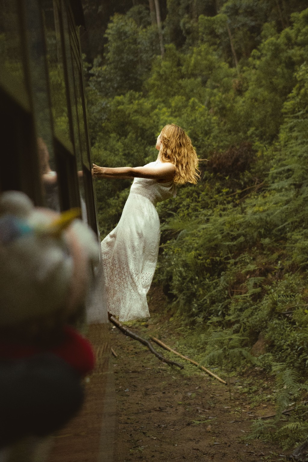 Scenic train journey through Sri Lanka