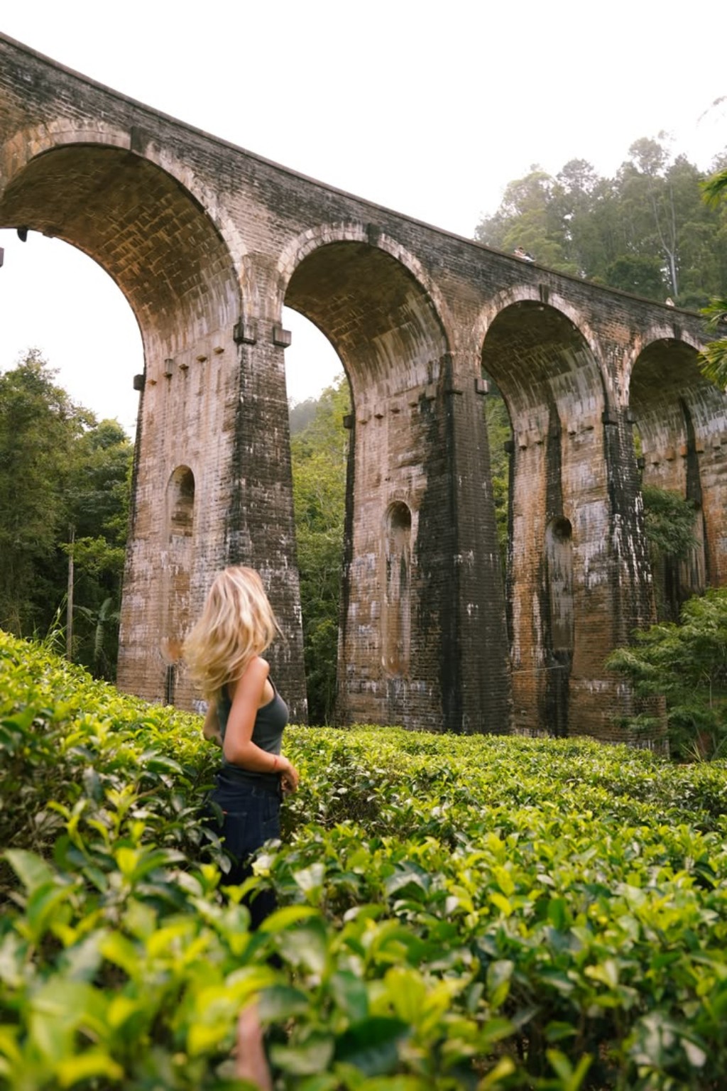 Nine Arch Bridge in Ella surrounded by tea country