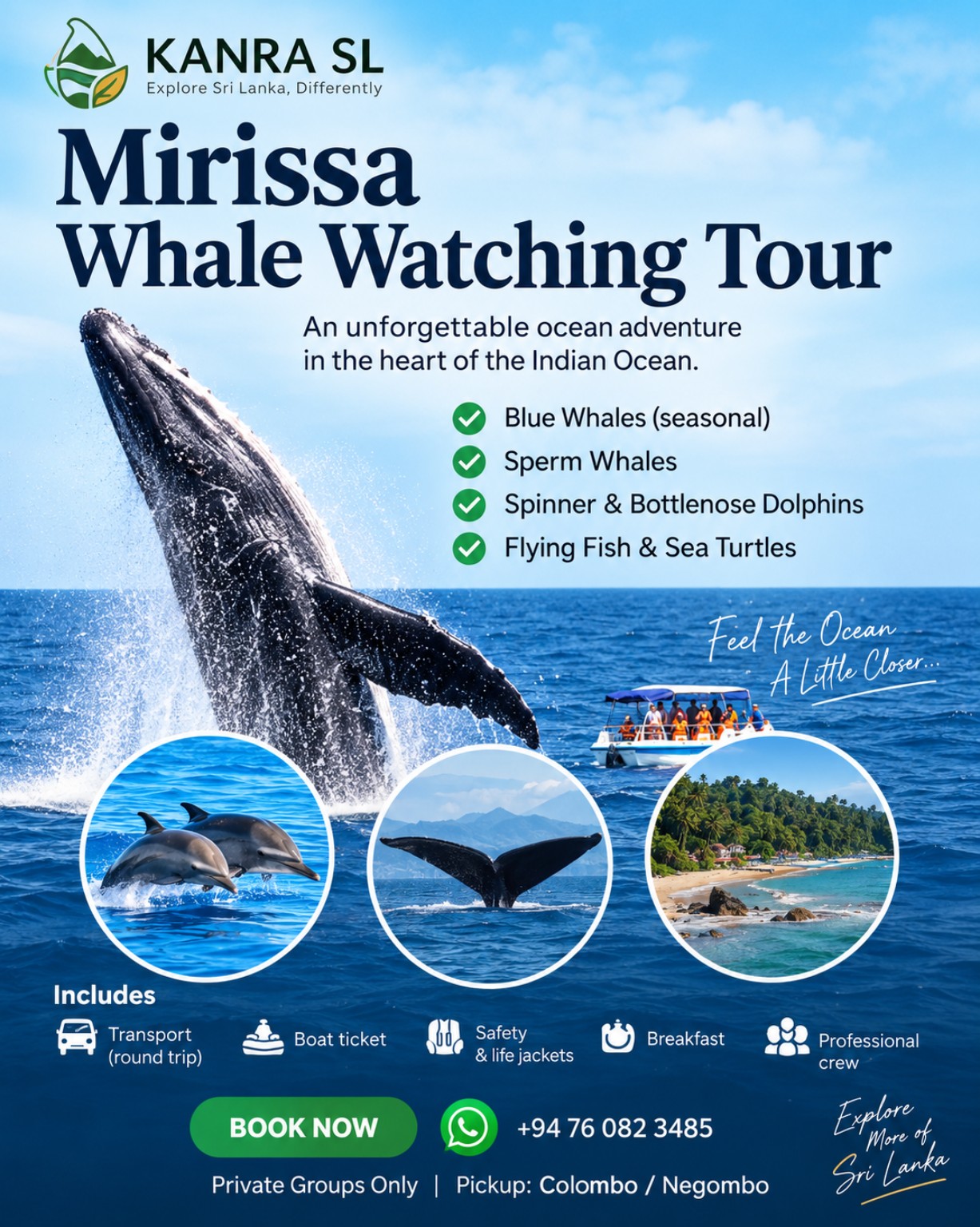 Mirissa Whale Watching Tour