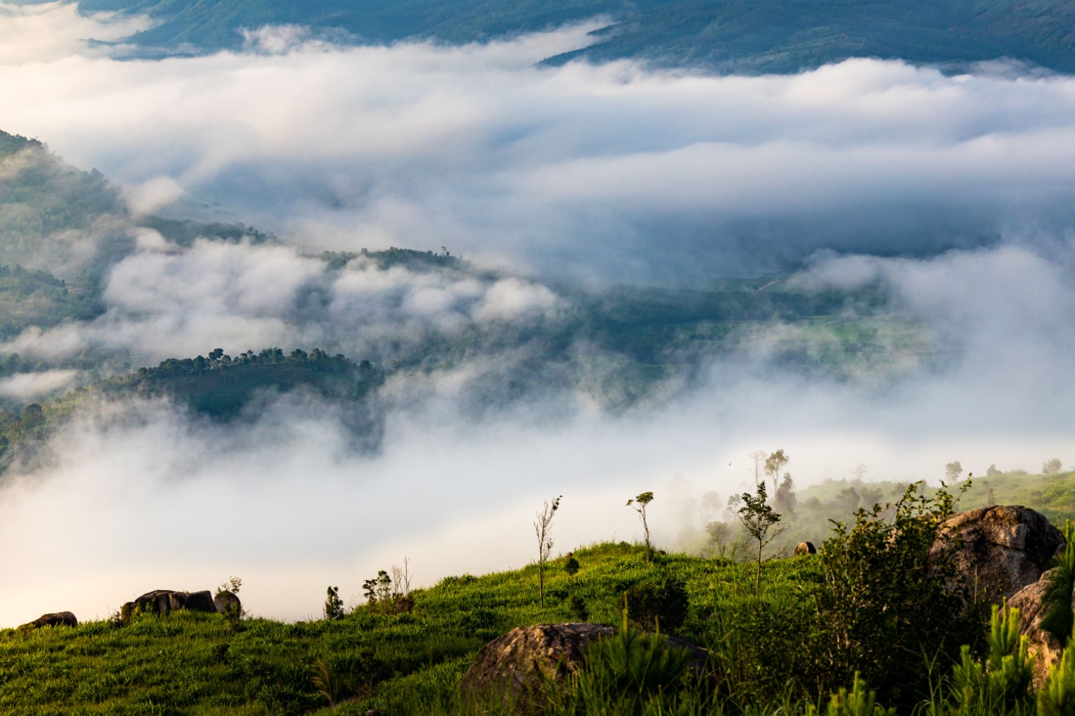 Misty mountain landscape in Sri Lanka