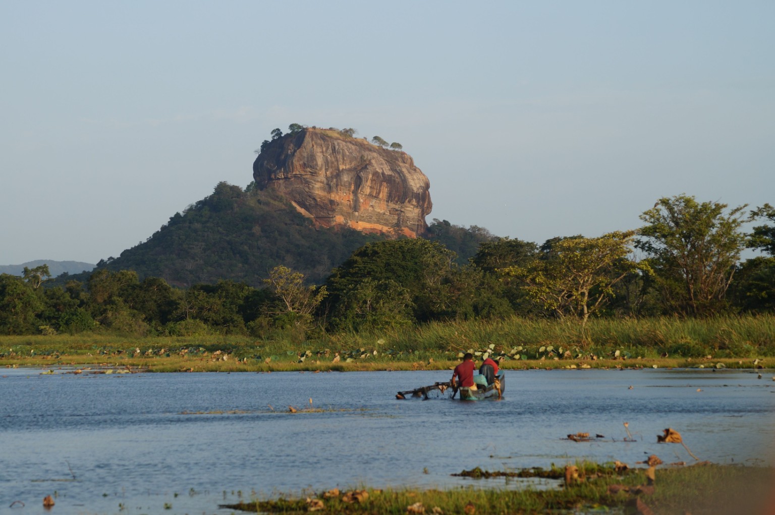 Elephants and ancient Sri Lanka landscape