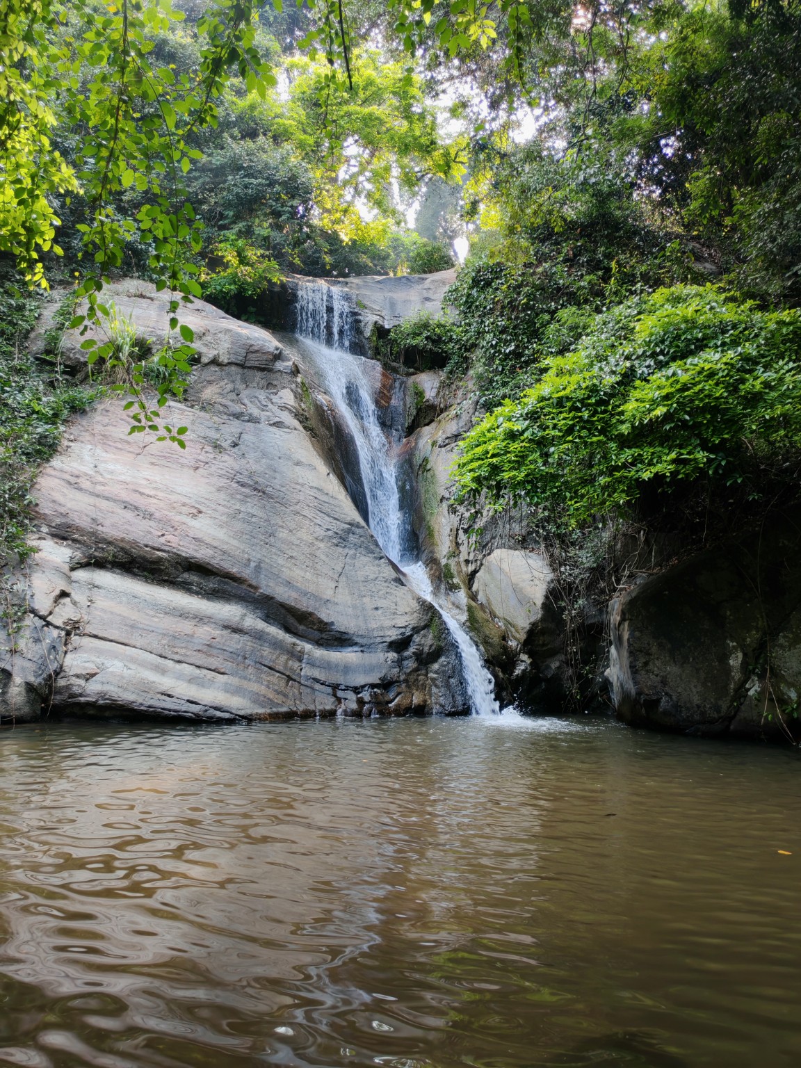 Waterfall in Sinharaja
