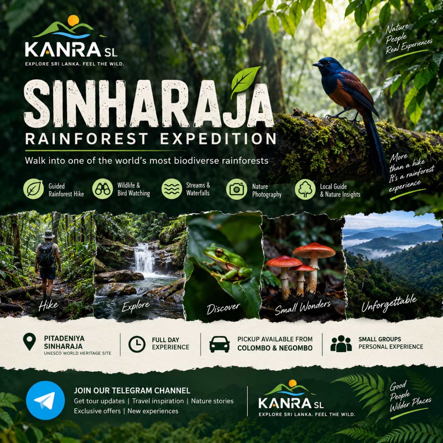 Sinharaja Rainforest Expedition