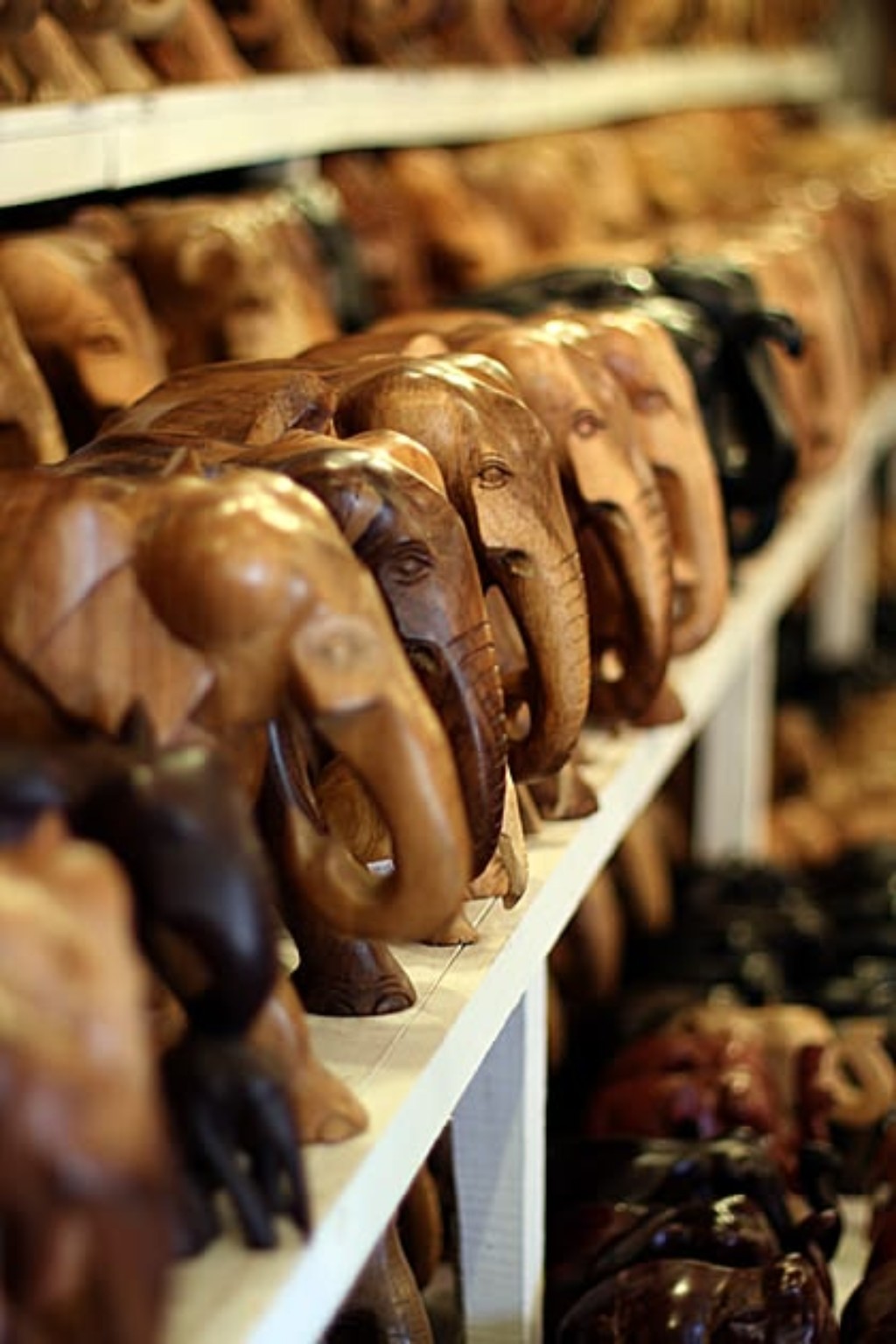 Wooden elephant souvenirs in Sri Lanka